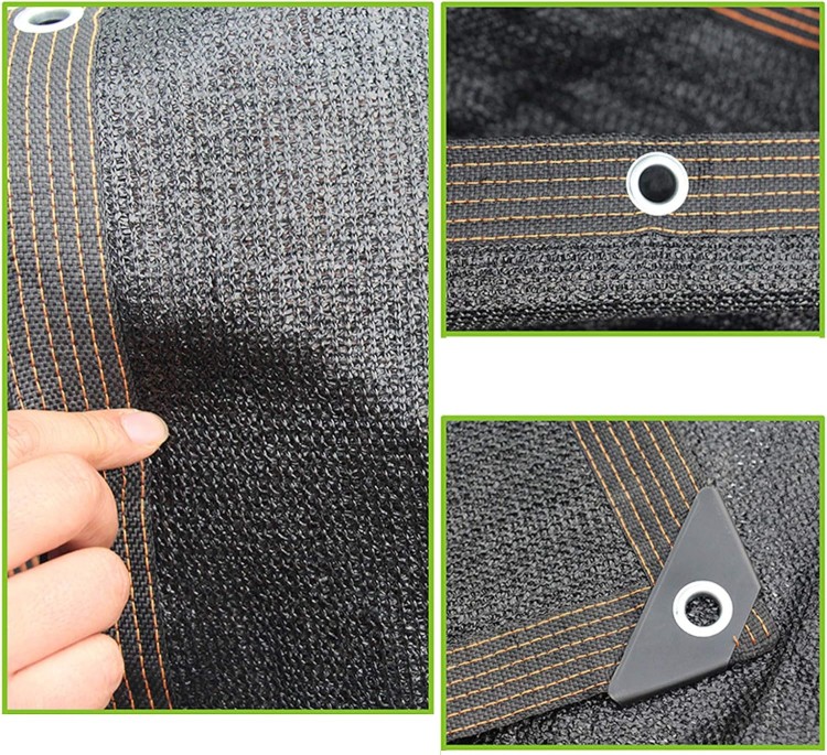 81hRh6n0YkL._AC_SL1500_.jpg