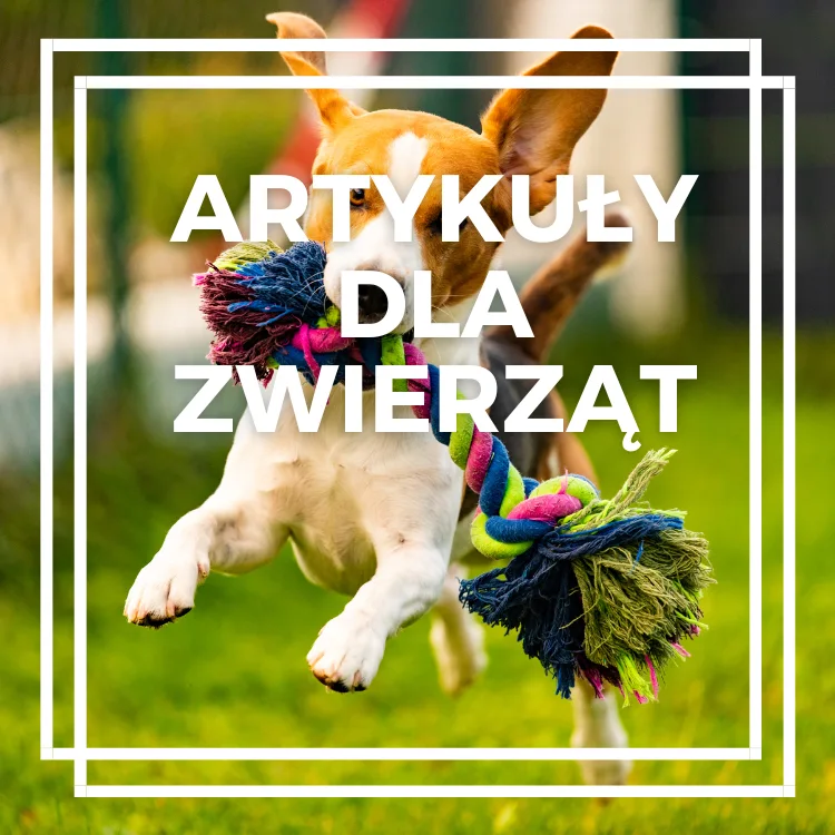 Zwierzęta